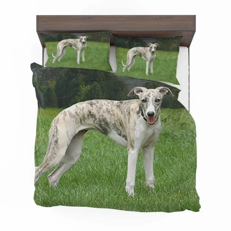 the Female Whippet Bedding Set