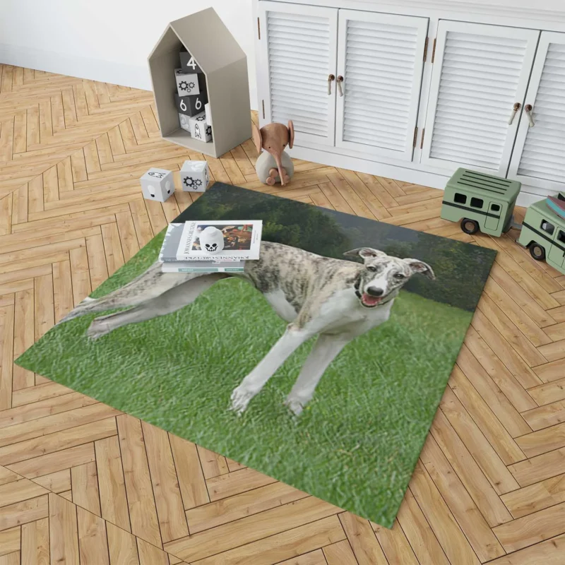 the Female Whippet Floor Rug