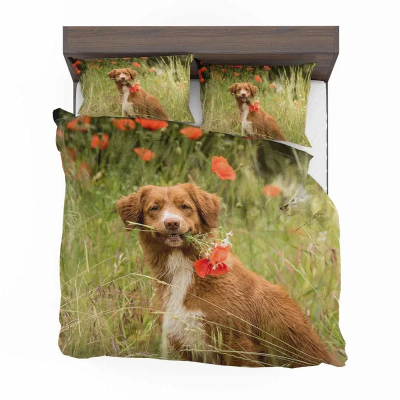 Poppy Fields: Nova Scotia Duck Tolling Retriever Quartet Bedding Set 1