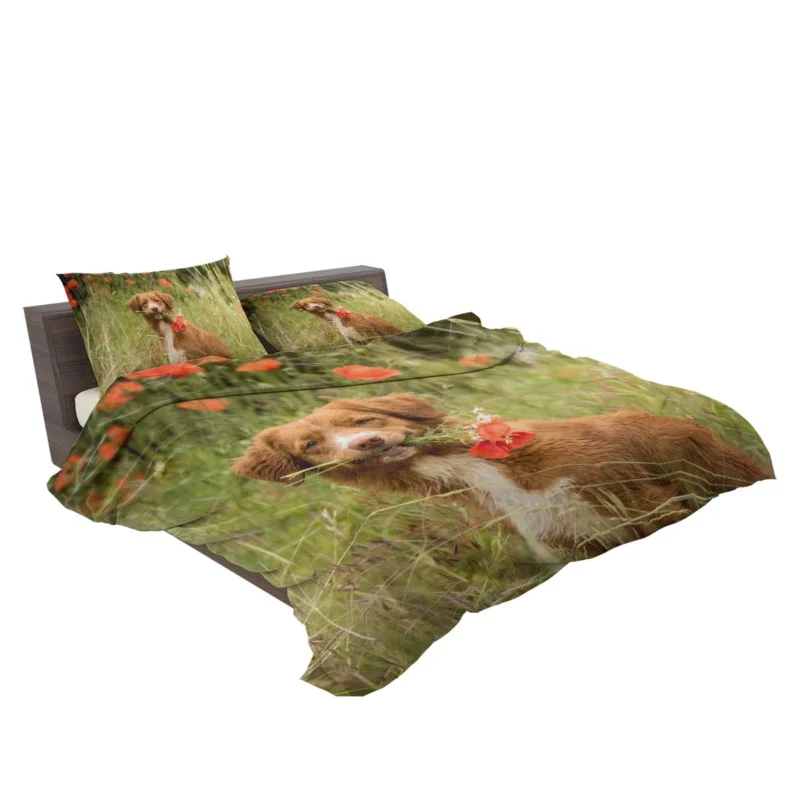 Poppy Fields: Nova Scotia Duck Tolling Retriever Quartet Bedding Set 2