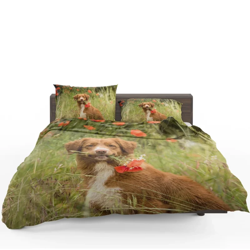 Poppy Fields: Nova Scotia Duck Tolling Retriever Quartet Bedding Set