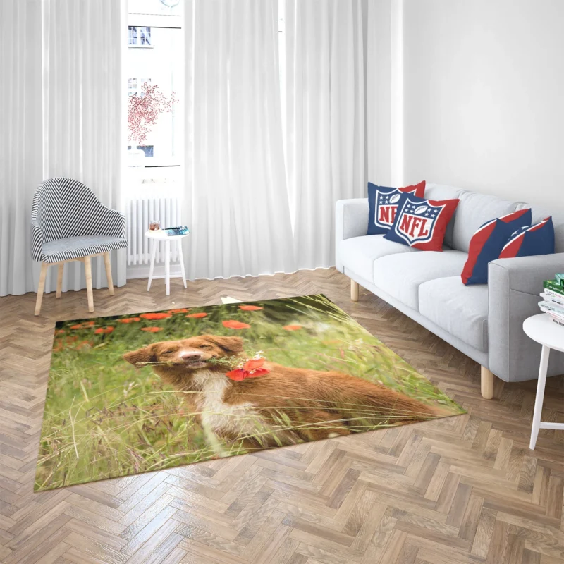 Poppy Fields: Nova Scotia Duck Tolling Retriever Quartet Floor Rug 2