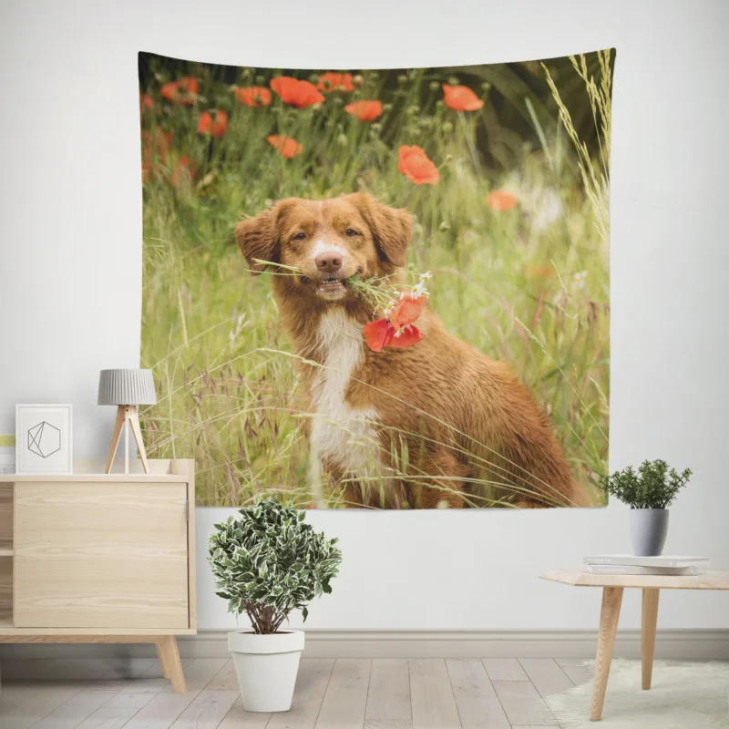 Poppy Fields  Nova Scotia Duck Tolling Retriever Quartet Wall Tapestry