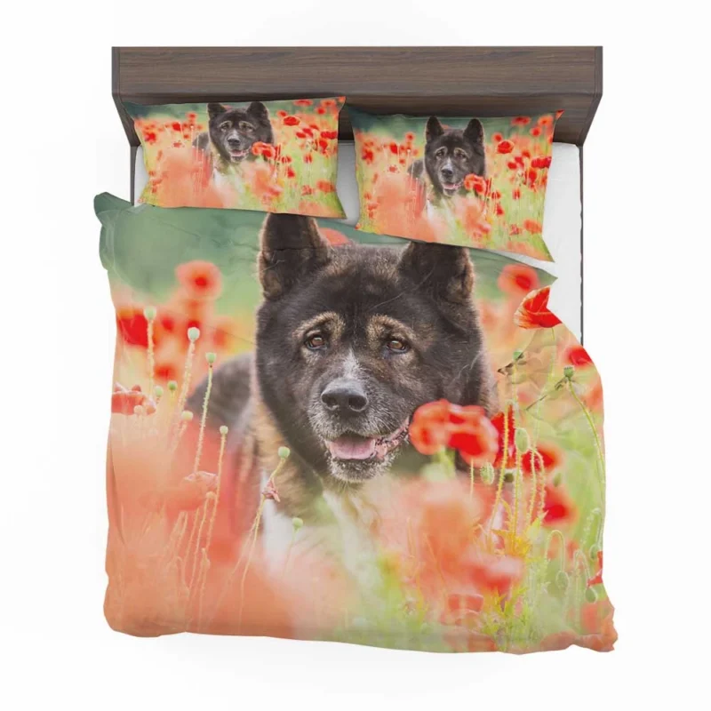 Poppy Perfection: A Red Summer with Akita Quartet Bedding Set 1