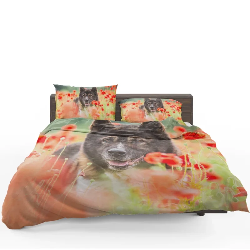 Poppy Perfection: A Red Summer with Akita Quartet Bedding Set