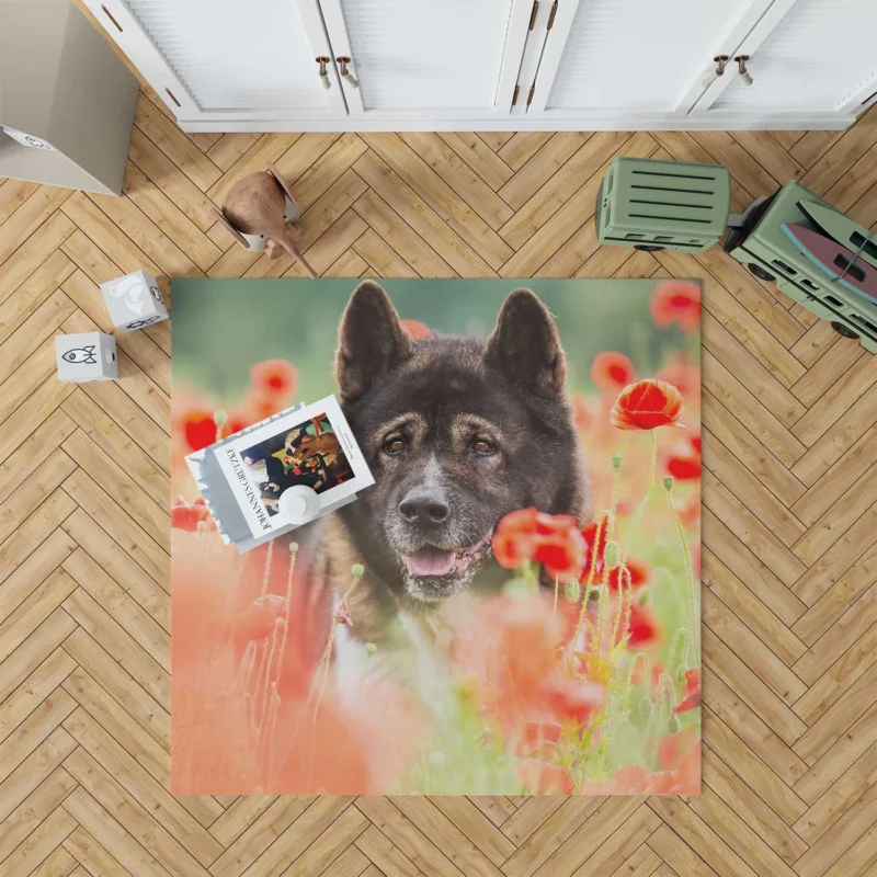 Poppy Perfection: A Red Summer with Akita Quartet Floor Rug