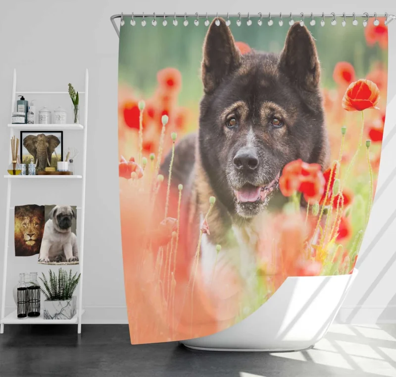 Poppy Perfection: A Red Summer with Akita Quartet Shower Curtain