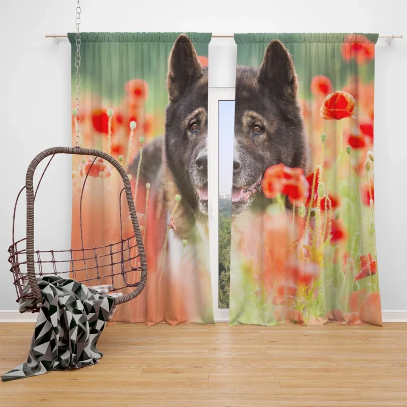 Poppy Perfection: A Red Summer with Akita Quartet Window Curtain