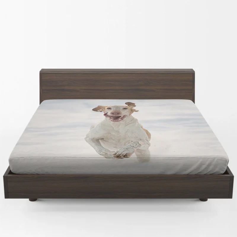 Poppy and Red Flower Beauty: Bull Terrier Fitted Sheet 1