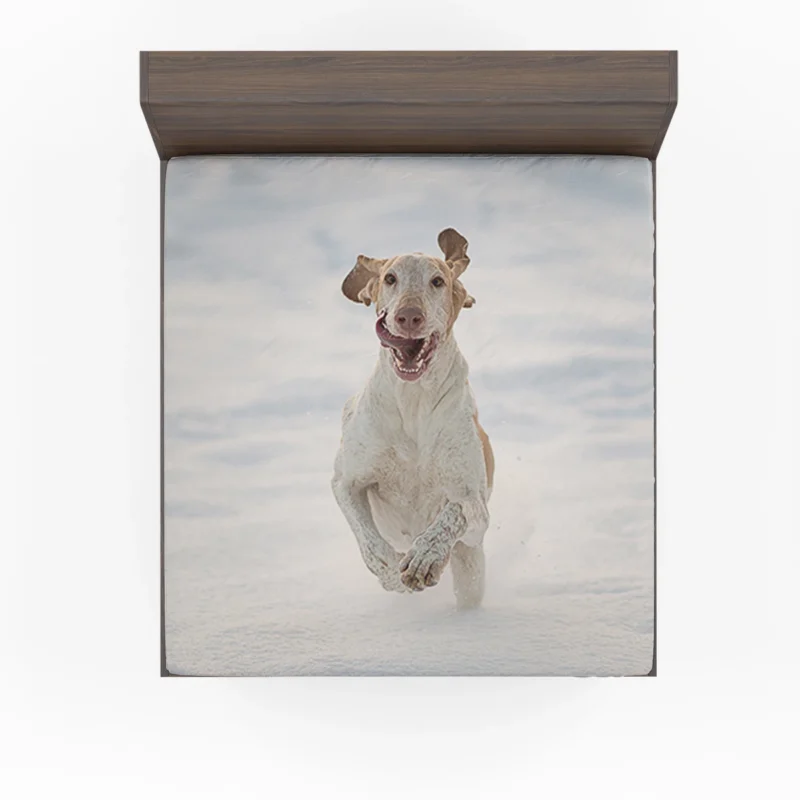 Poppy and Red Flower Beauty: Bull Terrier Fitted Sheet