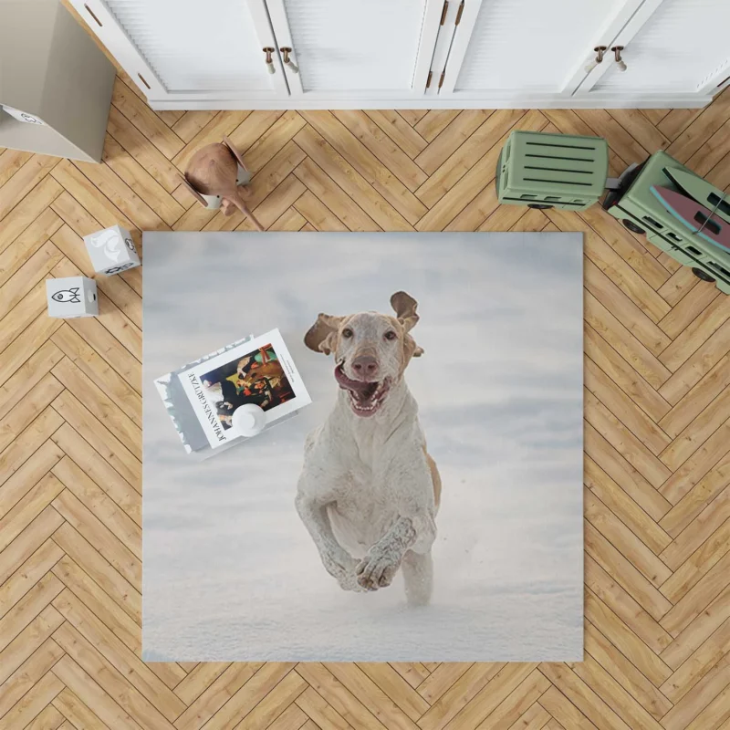 Poppy and Red Flower Beauty: Bull Terrier Floor Rug