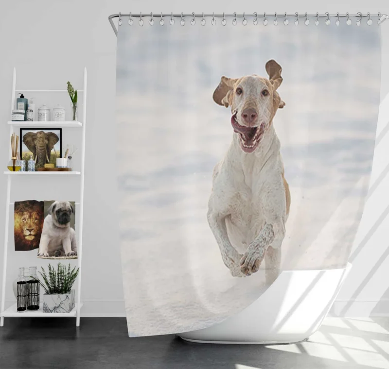 Poppy and Red Flower Beauty: Bull Terrier Shower Curtain