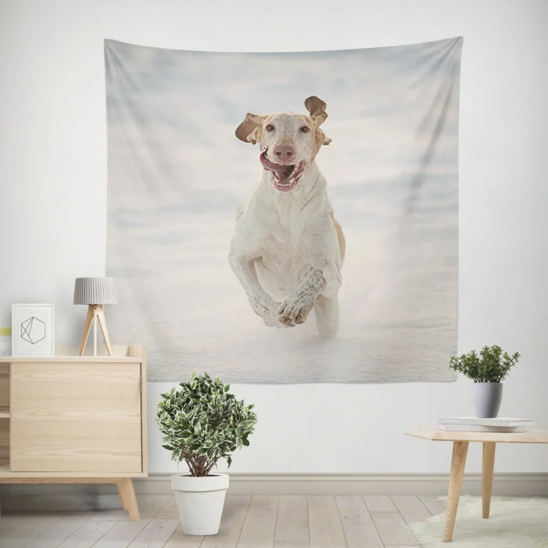 Poppy and Red Flower Beauty  Bull Terrier Wall Tapestry