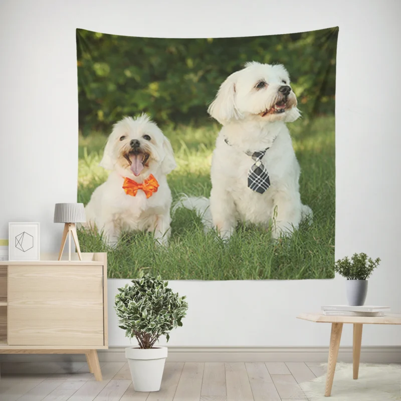 Portrait Perfection  Two Maltese Dogs in Ties Wall Tapestry