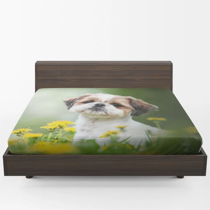 Portrait of Elegance: Shih Tzu Quartet Fitted Sheet 1