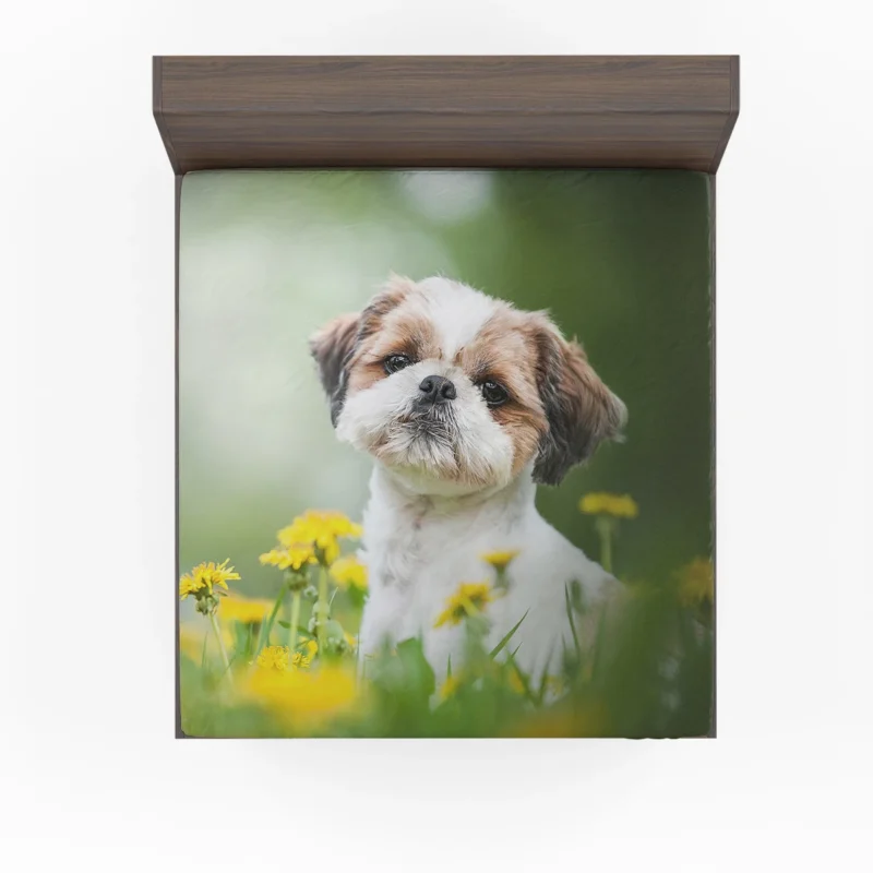 Portrait of Elegance: Shih Tzu Quartet Fitted Sheet