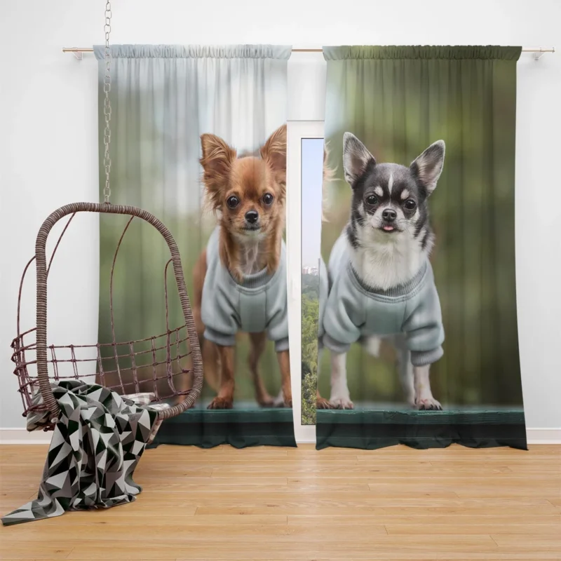 Precious Petite Paws: Chihuahua Quartet Window Curtain