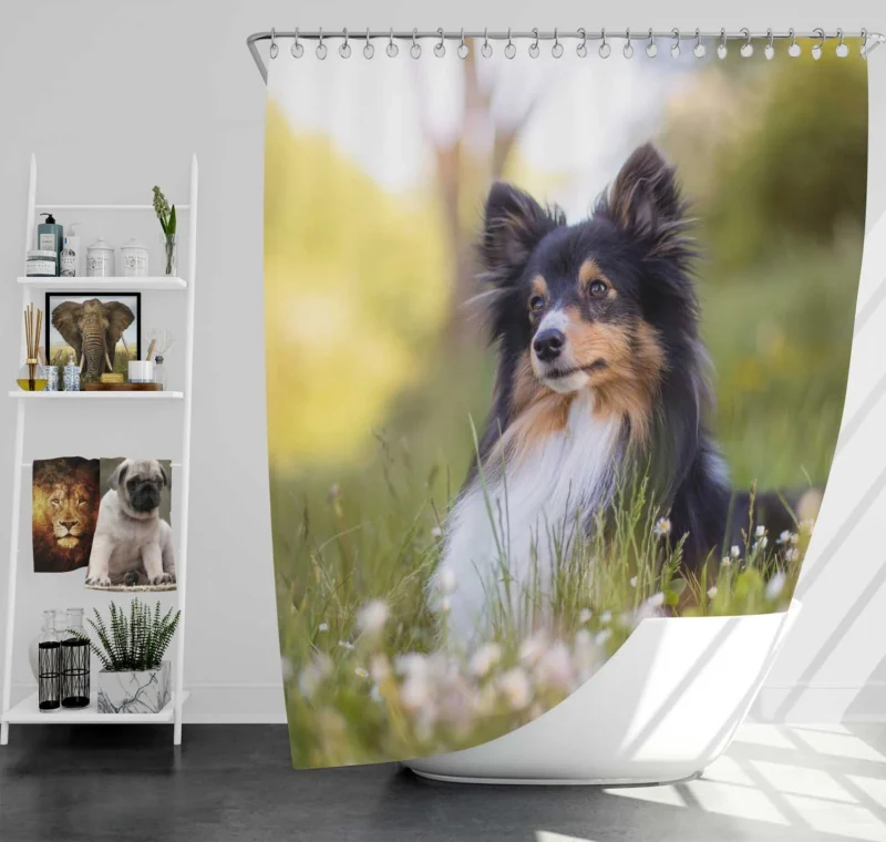 Precious Puppy Bauble: Shetland Sheepdog Quartet Shower Curtain