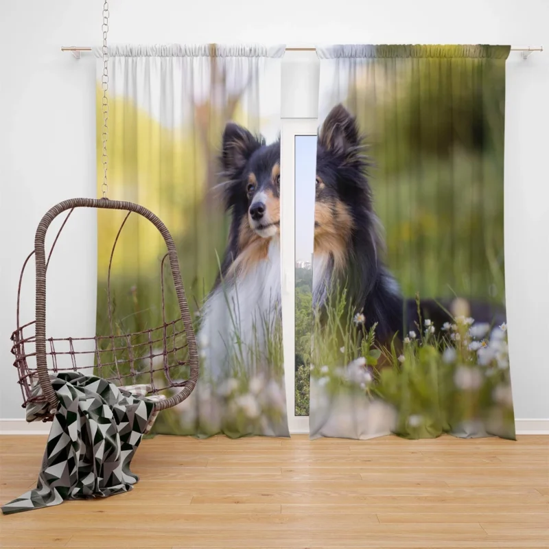 Precious Puppy Bauble: Shetland Sheepdog Quartet Window Curtain