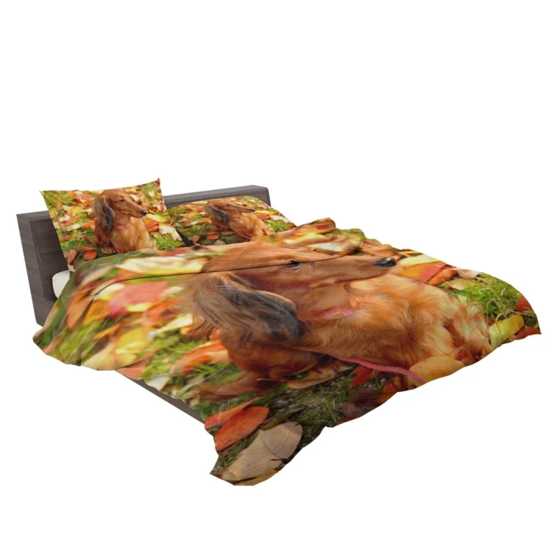 Protective Dachshund: Fourfold Quartet Bedding Set 2