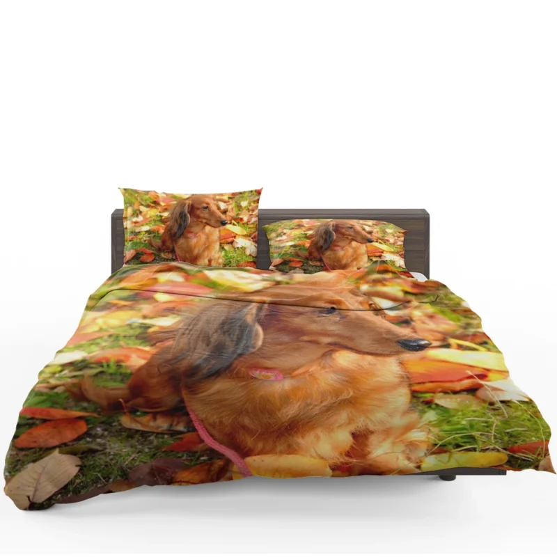 Protective Dachshund: Fourfold Quartet Bedding Set