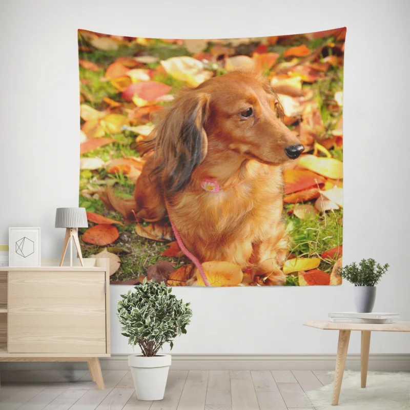 Protective Dachshund  Fourfold Quartet Wall Tapestry