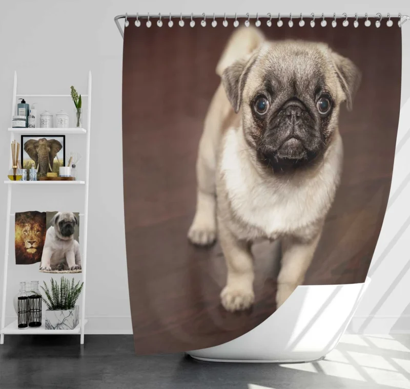 Pug Halloween Party: The Quartet Farewell Shower Curtain