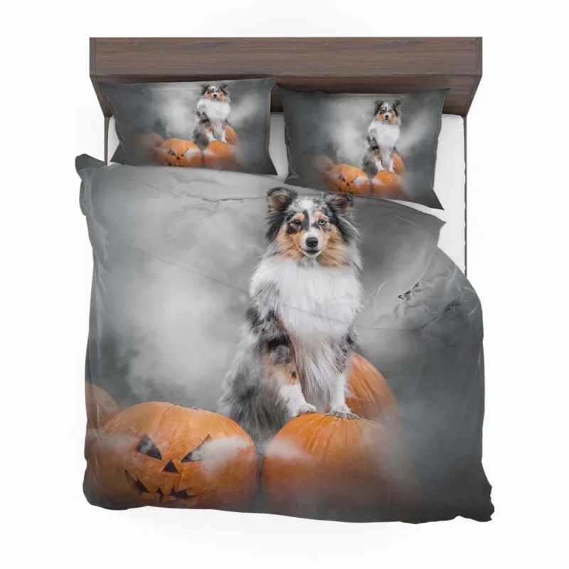 Pumpkin Pup Amazement: Shetland Sheepdog Quartet Bedding Set 1