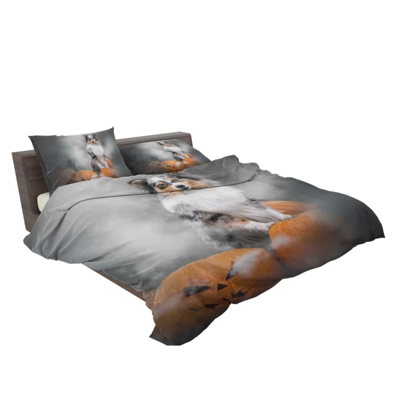 Pumpkin Pup Amazement: Shetland Sheepdog Quartet Bedding Set 2