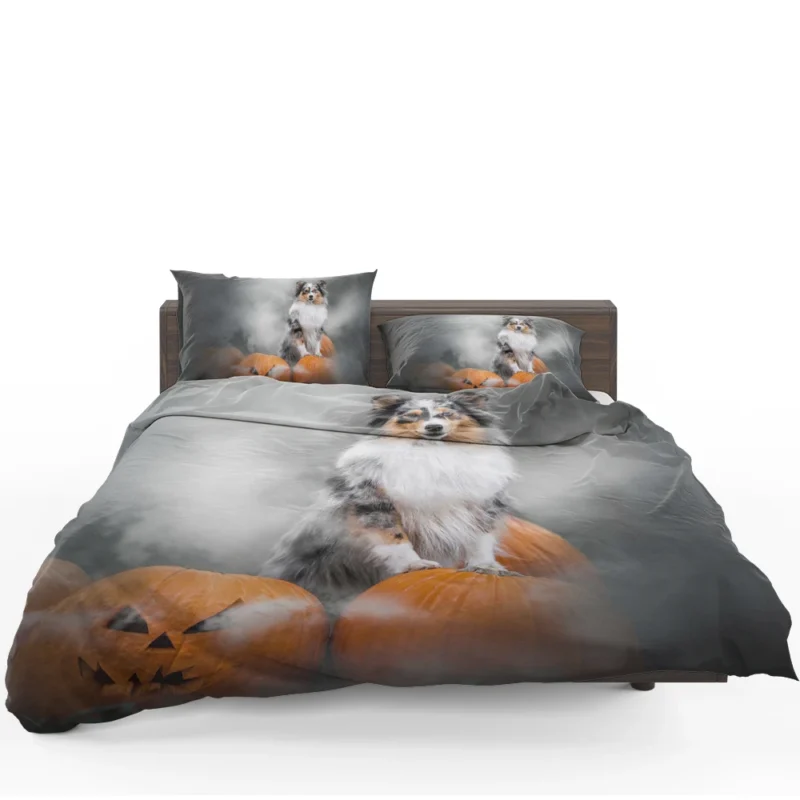 Pumpkin Pup Amazement: Shetland Sheepdog Quartet Bedding Set