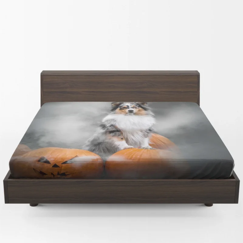 Pumpkin Pup Amazement: Shetland Sheepdog Quartet Fitted Sheet 1