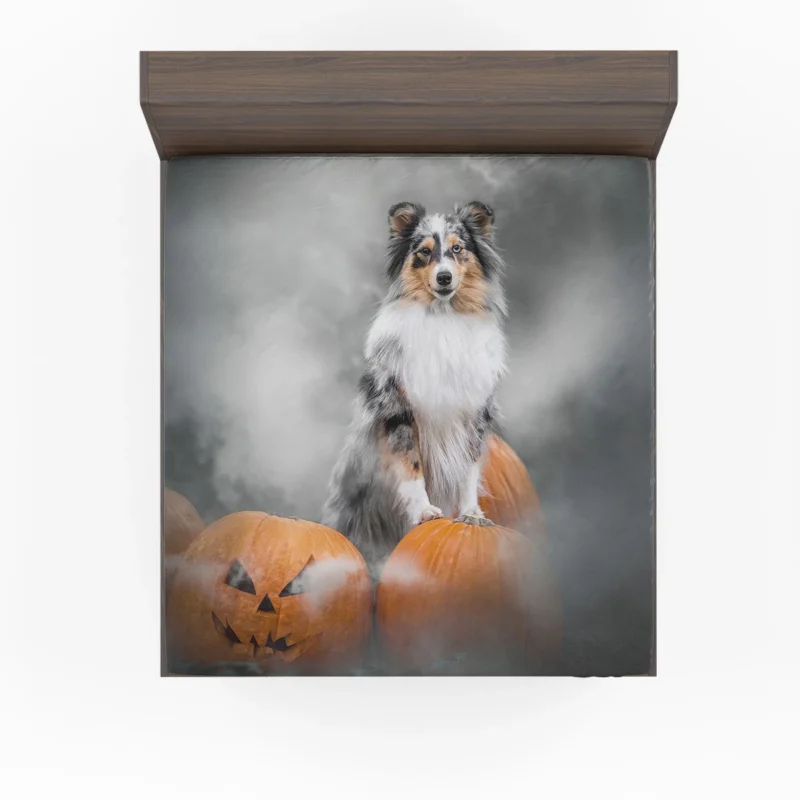 Pumpkin Pup Amazement: Shetland Sheepdog Quartet Fitted Sheet