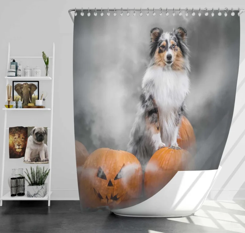 Pumpkin Pup Amazement: Shetland Sheepdog Quartet Shower Curtain