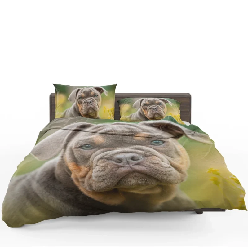 Puppies Bringing Joy: Bulldog Quartet Bedding Set