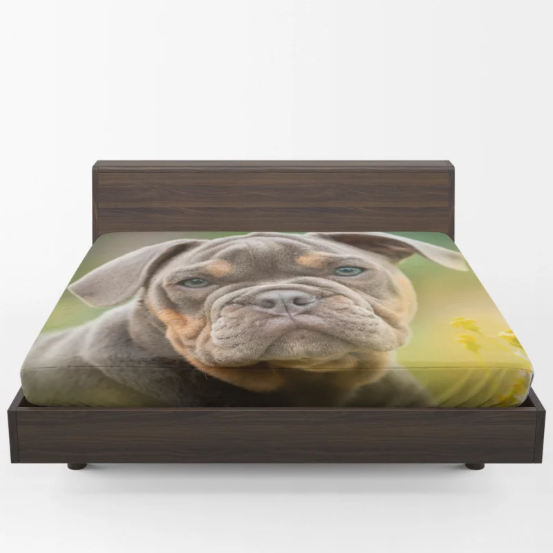 Puppies Bringing Joy: Bulldog Quartet Fitted Sheet 1