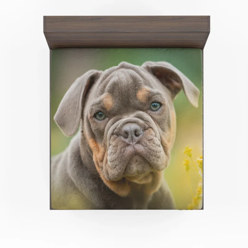 Puppies Bringing Joy: Bulldog Quartet Fitted Sheet