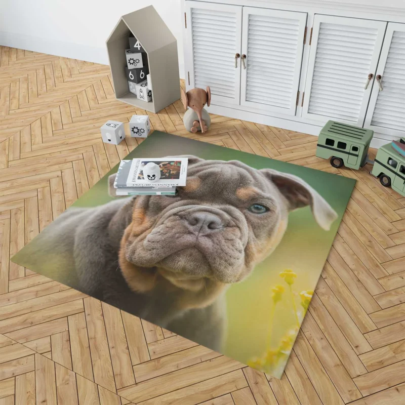 Puppies Bringing Joy: Bulldog Quartet Floor Rug 1