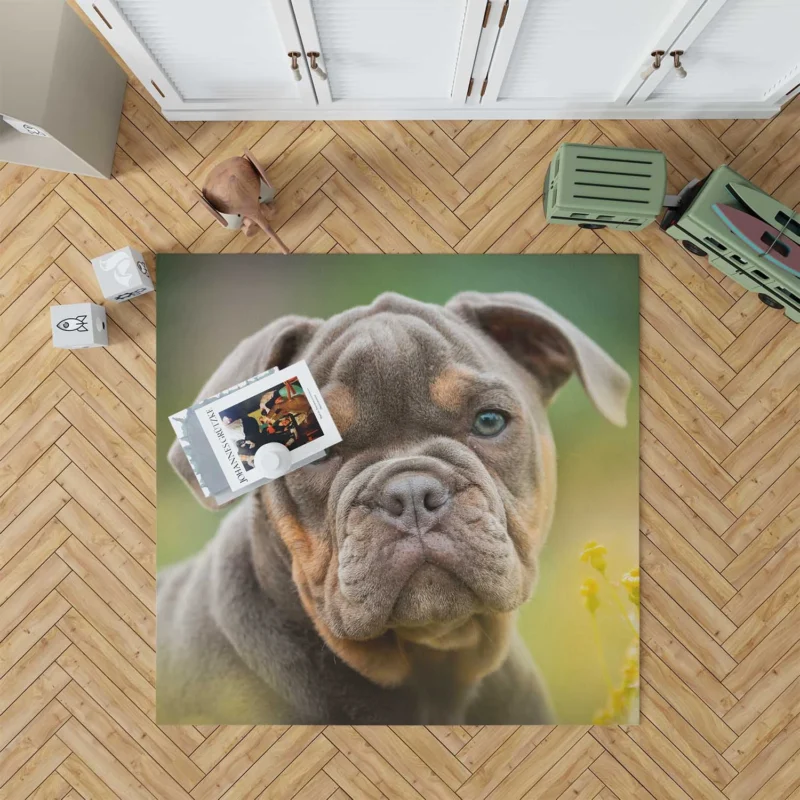 Puppies Bringing Joy: Bulldog Quartet Floor Rug