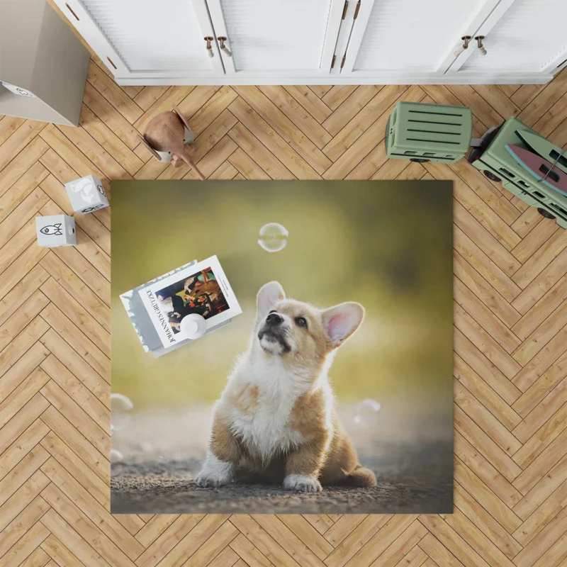 Puppies Surrounded by Bubbles: Corgi Quartet Floor Rug