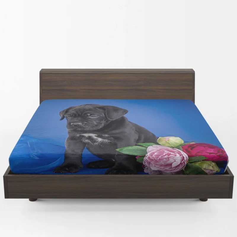 Puppies and Playful Baubles: Cane Corso Quartet Fitted Sheet 1