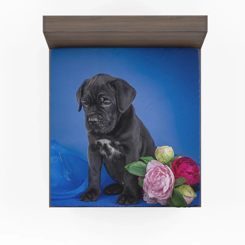 Puppies and Playful Baubles: Cane Corso Quartet Fitted Sheet