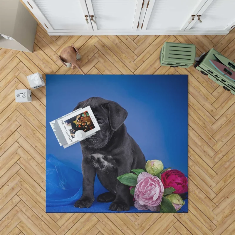 Puppies and Playful Baubles: Cane Corso Quartet Floor Rug