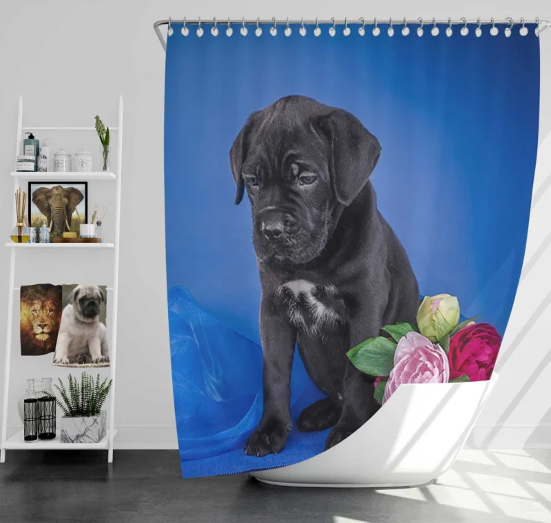 Puppies and Playful Baubles: Cane Corso Quartet Shower Curtain