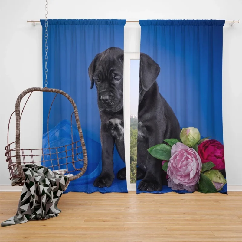 Puppies and Playful Baubles: Cane Corso Quartet Window Curtain