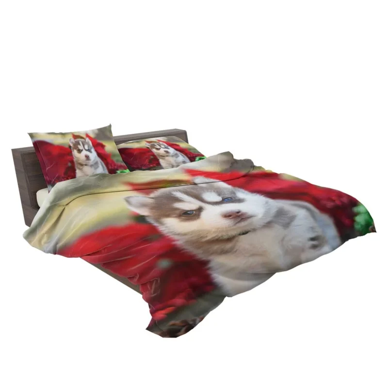 Puppies in Reflection: Siberian Husky Quartet Bedding Set 2