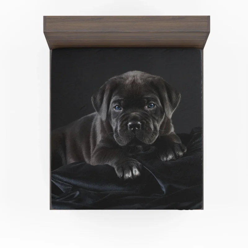 Puppies in a Bauble: Cane Corso Quartet Fitted Sheet