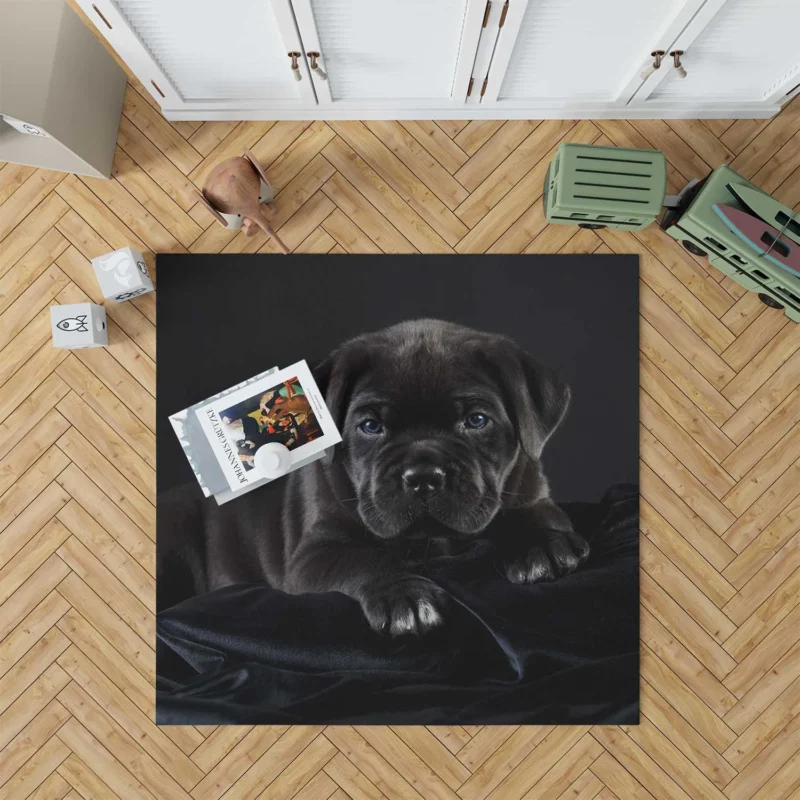 Puppies in a Bauble: Cane Corso Quartet Floor Rug