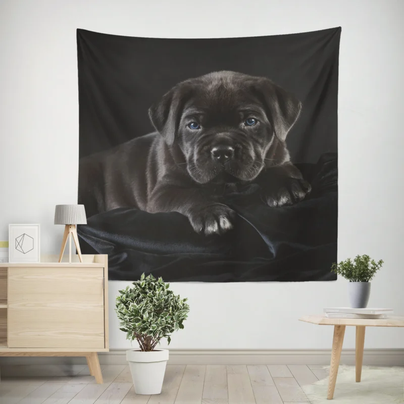 Puppies in a Bauble  Cane Corso Quartet Wall Tapestry