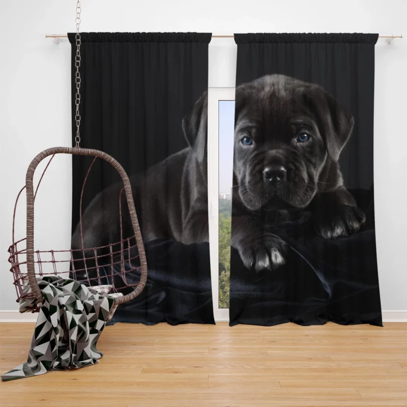 Puppies in a Bauble: Cane Corso Quartet Window Curtain