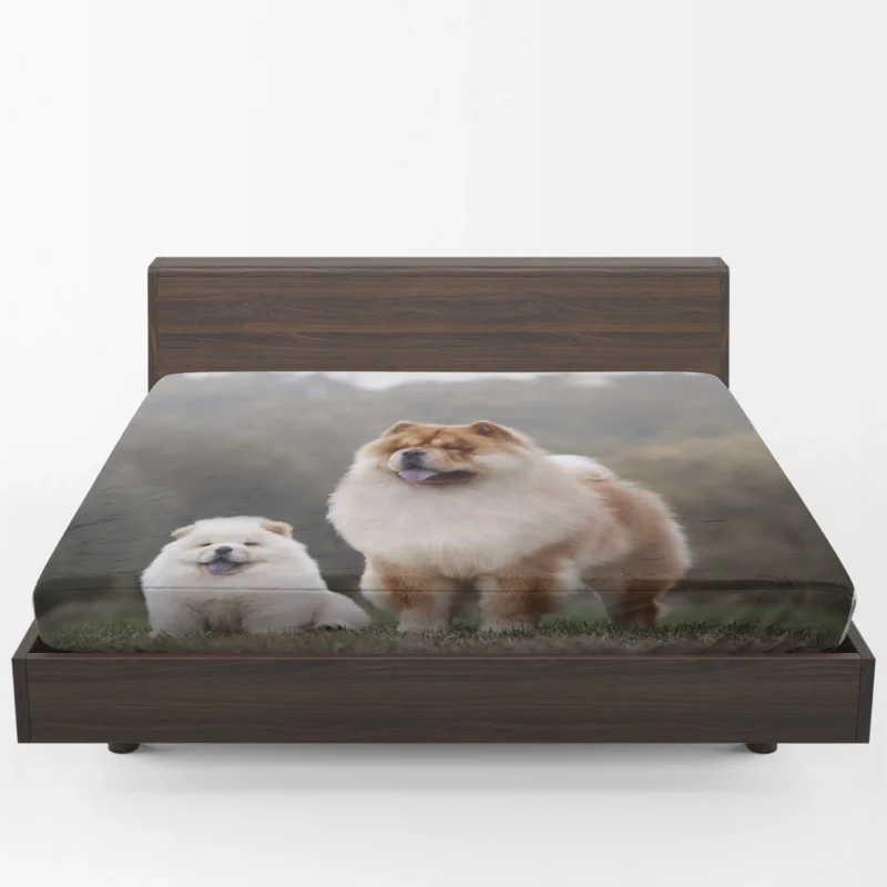 Puppies in a Bauble: Chow Chow Quartet Fitted Sheet 1